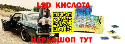 гашик Кингисепп