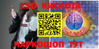 гашик Кингисепп