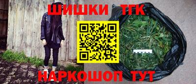 гашик Кингисепп