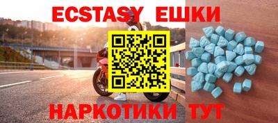 гашик Кингисепп