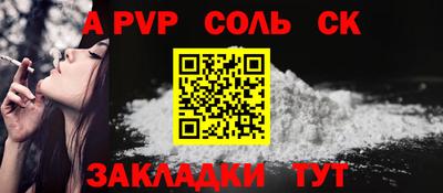 гашик Кингисепп